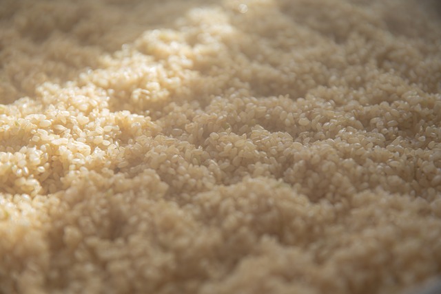 まるもち玄米餅