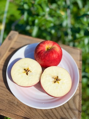 葉取らずつがる家庭用　2kg