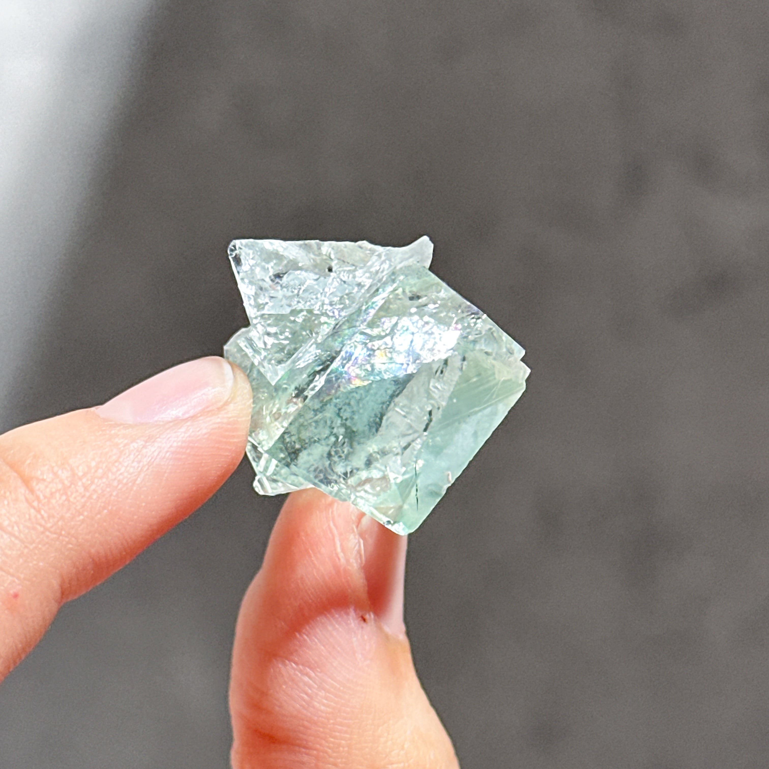 シャンファーリン産フローライト 原石41◇ Fluorite From シャンファーリン産フローライト 原石41◇ Fluorite From