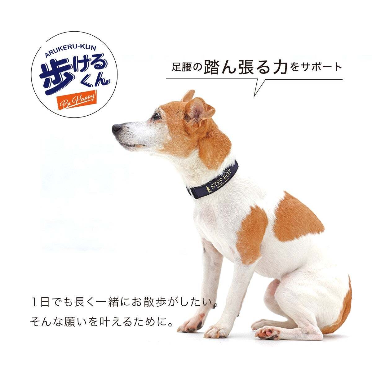STEP EQT 歩けるくん 犬用ネックバンド 歩けるくん公式サイト | 【公式