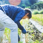 にんにく1kg(農薬・化学肥料・除草剤不使用)