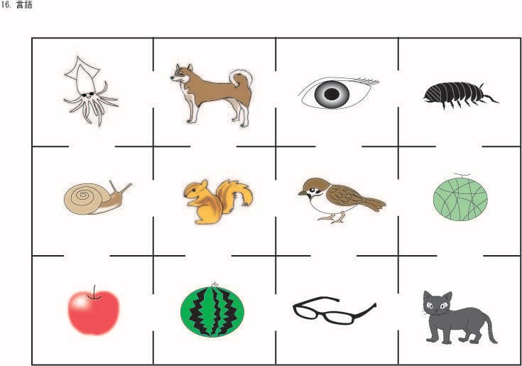 昭和学院小学校受験合格問題 第5集数量2027受験用 | kidscollege