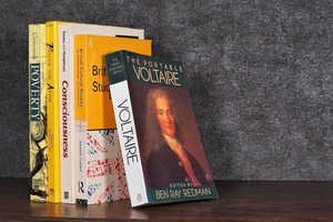 【SPECIAL PRICE】【DS252】VOLTAIRE -5set- /display book