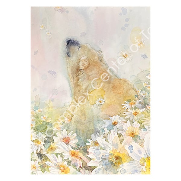 斉藤 緩「花雪」