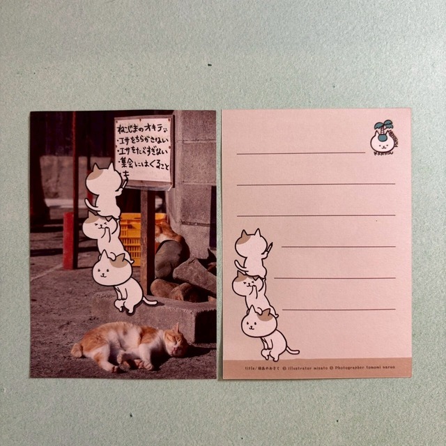【写真×イラストコラボ】猫島猫の日常 ミニ便箋02　猫島のおきて