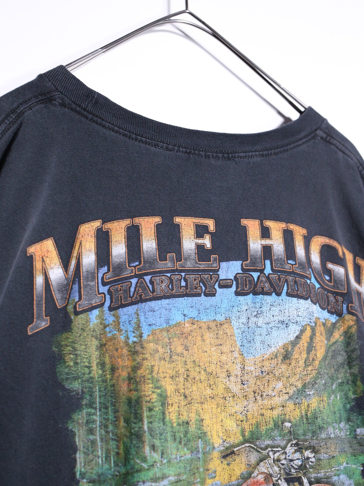 "Harley-Davidson" 墨黒 XXXXL super over silhouette front and back print tee - 15