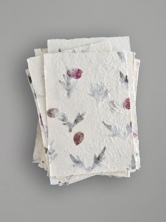 A4 デッケルエッジペーパー ブーゲンビリア + ヨモギ 25枚入り / A4 size Deckle edge Card with Bougainvillea + Mugwort leaf (Yomogi) 25