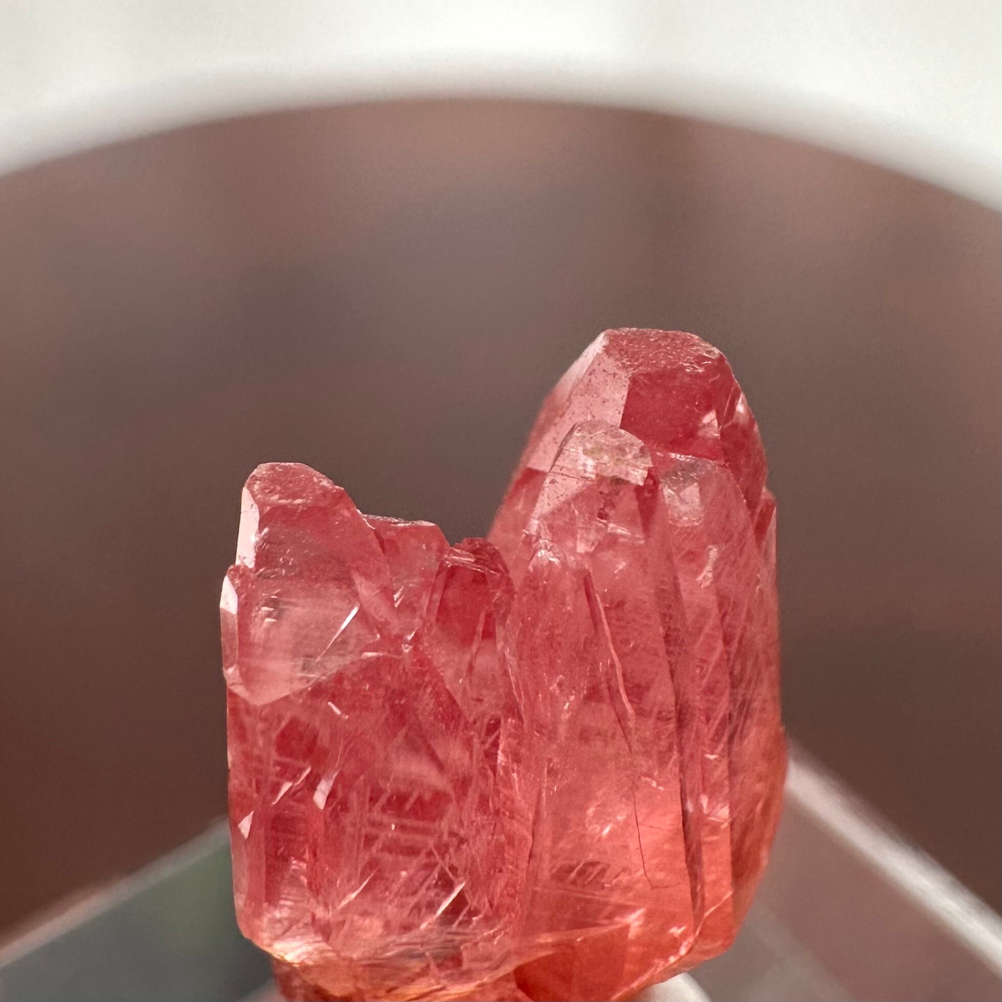 ロードクロサイト【Rhodochrosite】南アフリカ産 | PEANUTS MINERALS