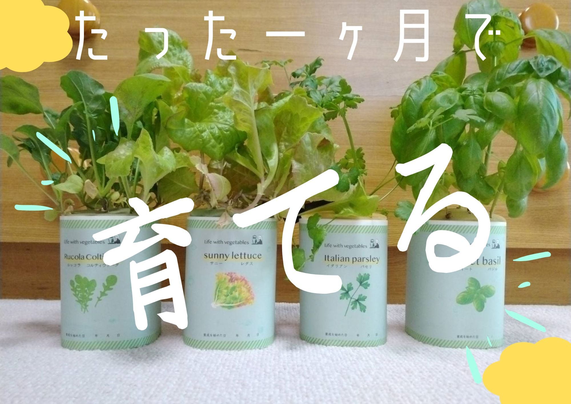 139cef3830506b2f25f63a7f238130