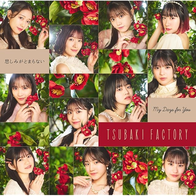 山下達郎 ヘロン Heron 8㎝CDシングル CD | PAY ID