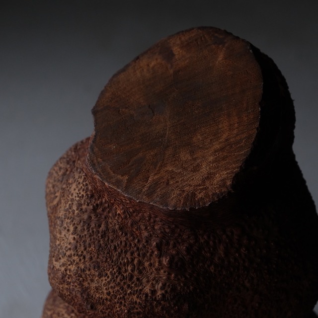 Tree burl