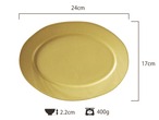 中皿 テラロッサ Largeリム オーバルプレート 24cm リムプレート 楕円皿 洋食器