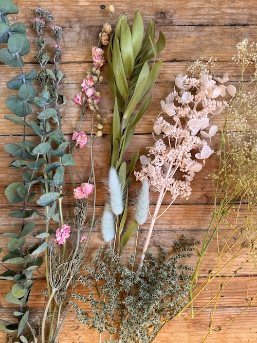 2ヶ月ごとに届くドライフラワー定期便M(送料込)