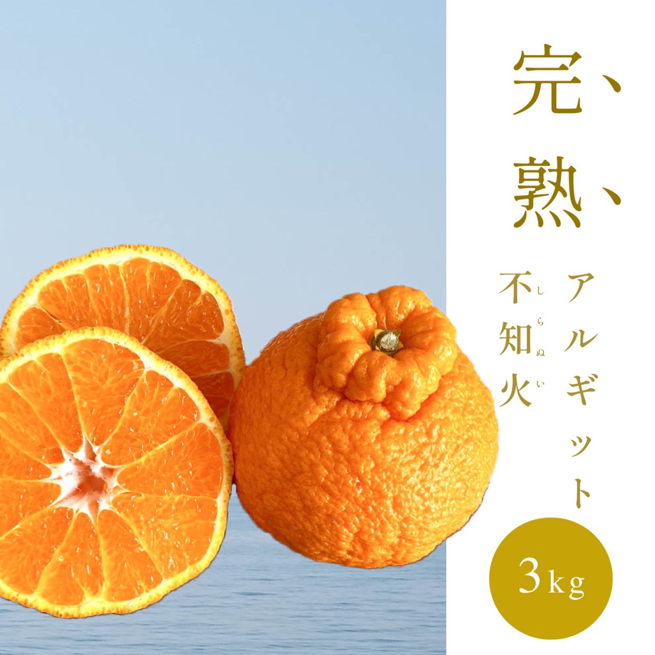 完熟アルギット不知火(露地)約3.0kg 【2月中・下旬頃から順次発送予定】