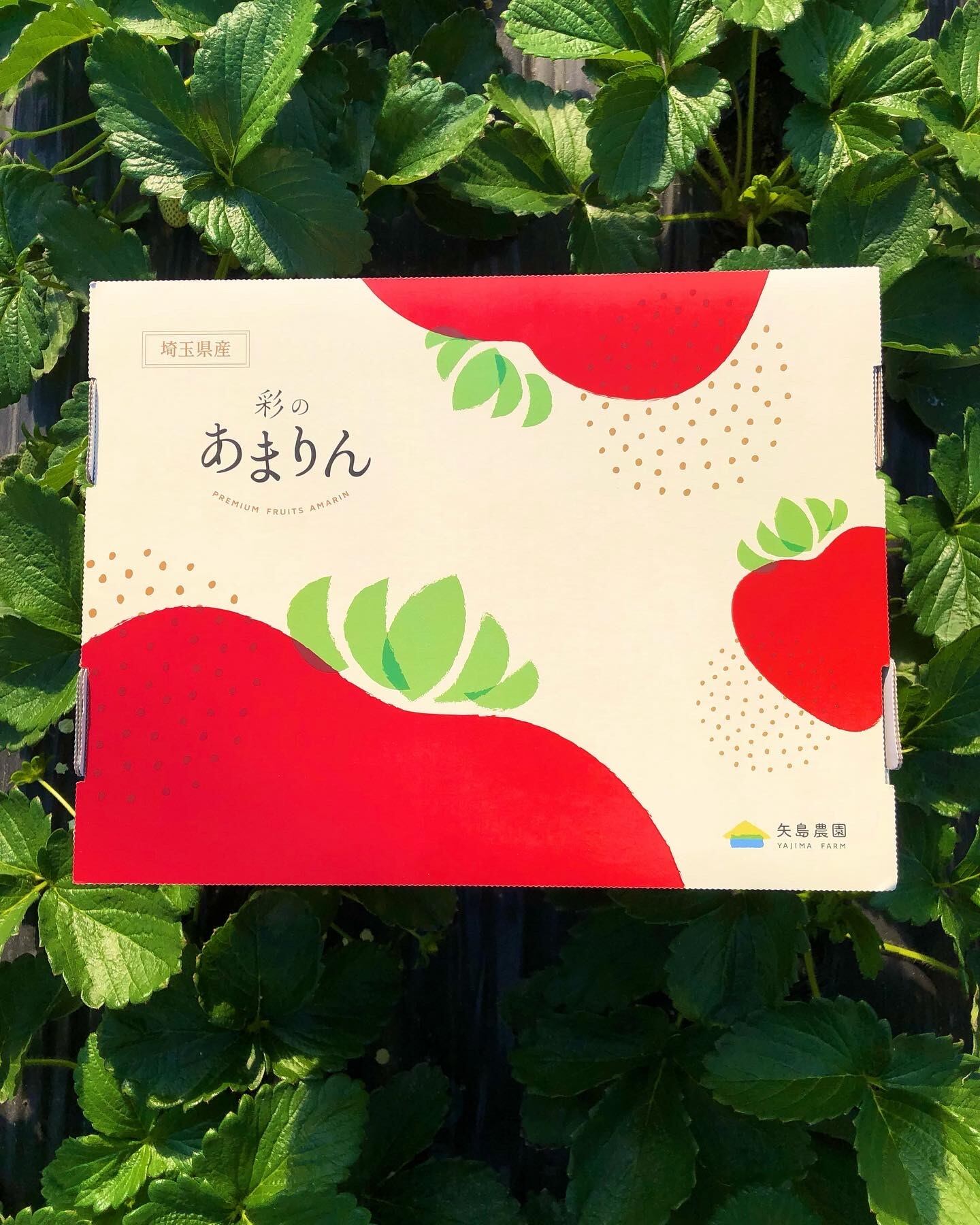 彩のあまりん | yajimafarm