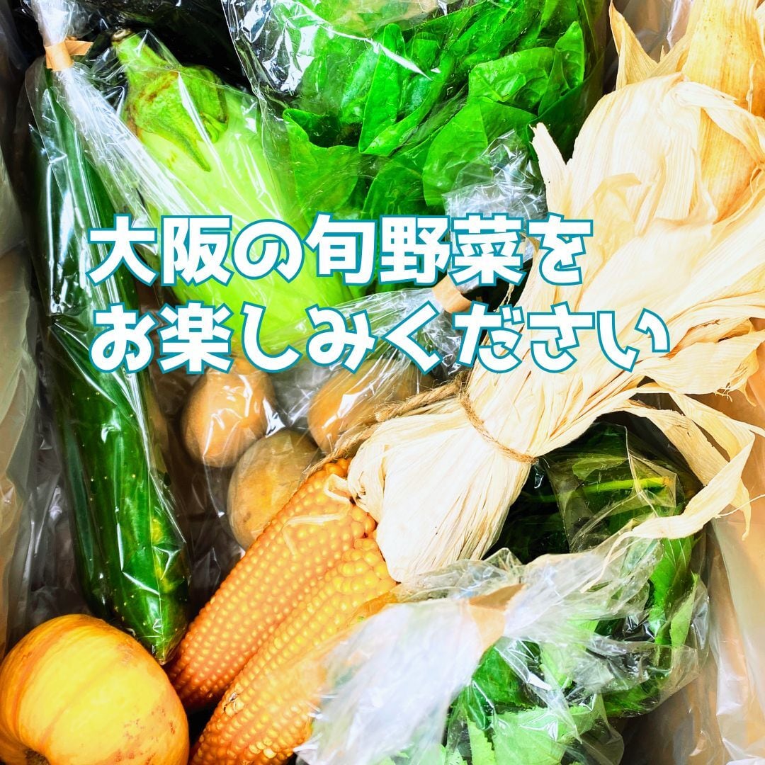 無農薬野菜セット8品目 大阪府富田林市 笑ノ百姓 | VIVA VEGE Plus