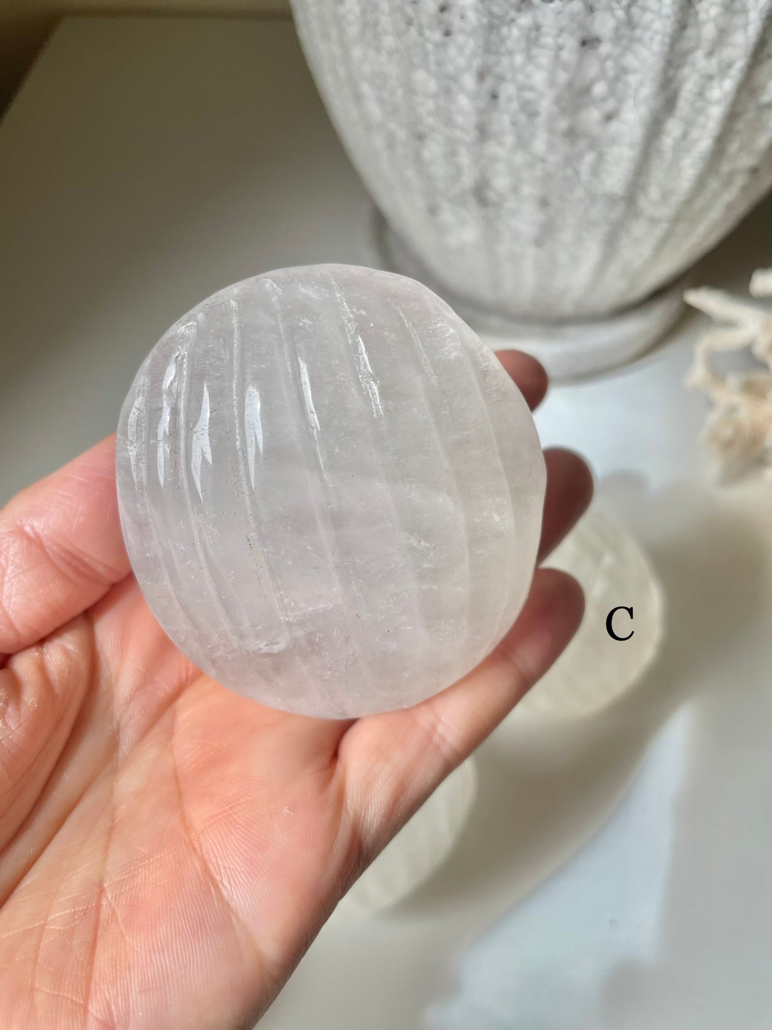 Crystal Shell / 水晶　貝