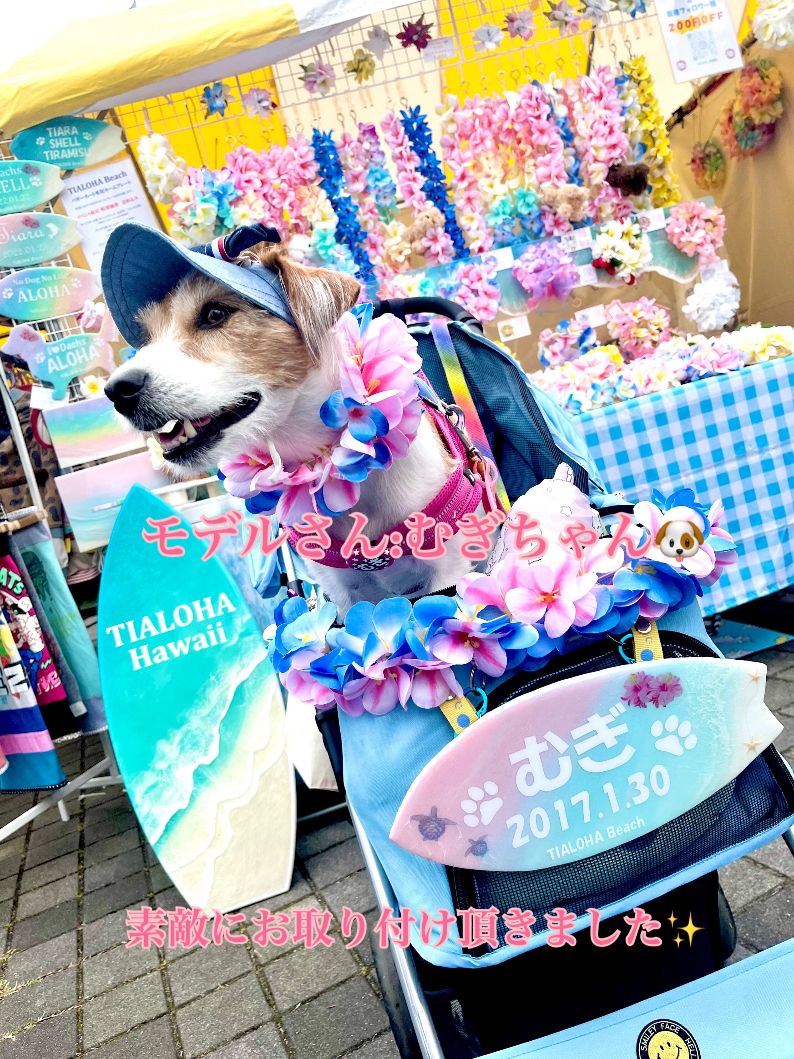 柴犬＊ハンドメイドオーダー用 受付ページ パネル