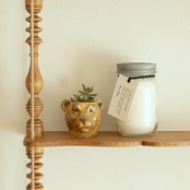 Brown Bear Mini Pot