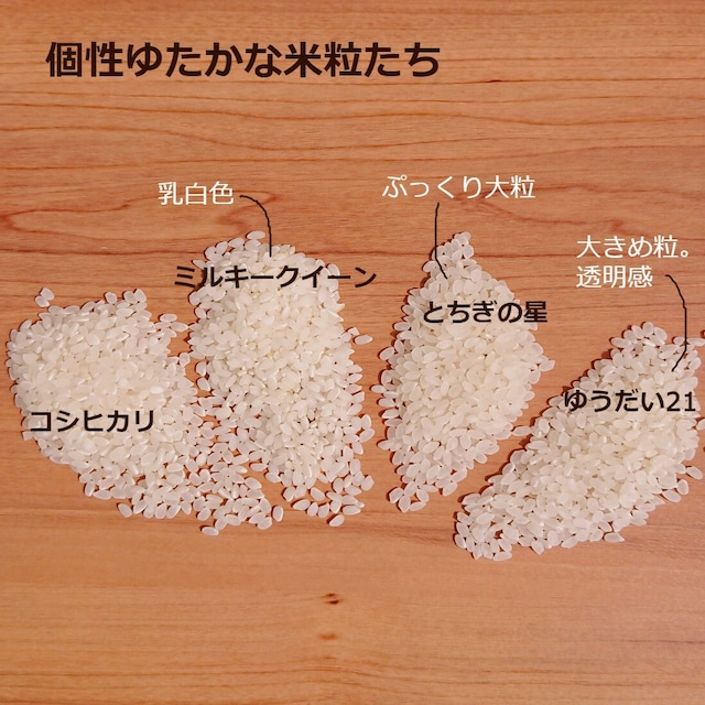 令和8年産・新米『ミルキークイーン』【玄米】内容量25kg・送料無料