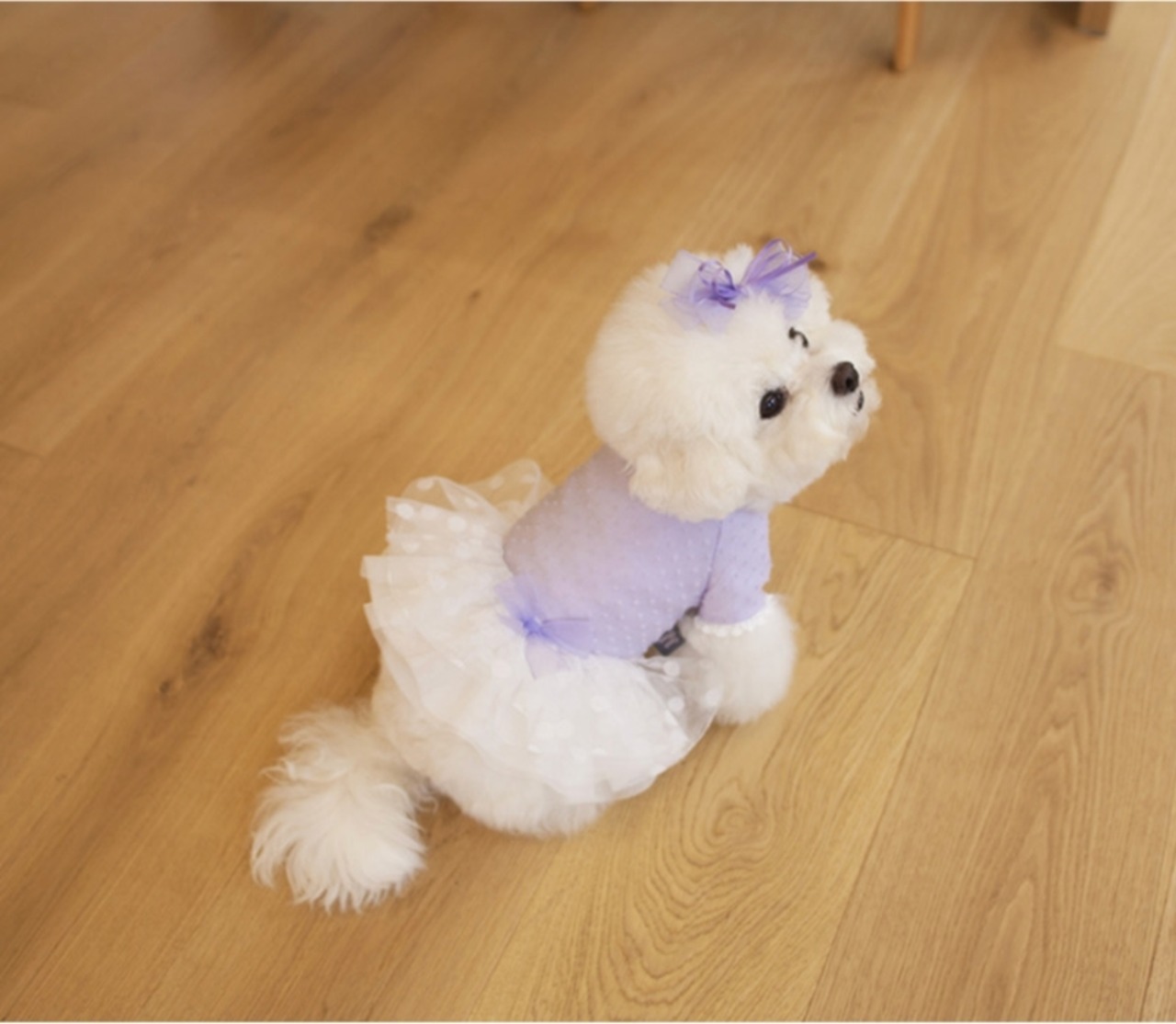 予約【coco chien】レアワンピース