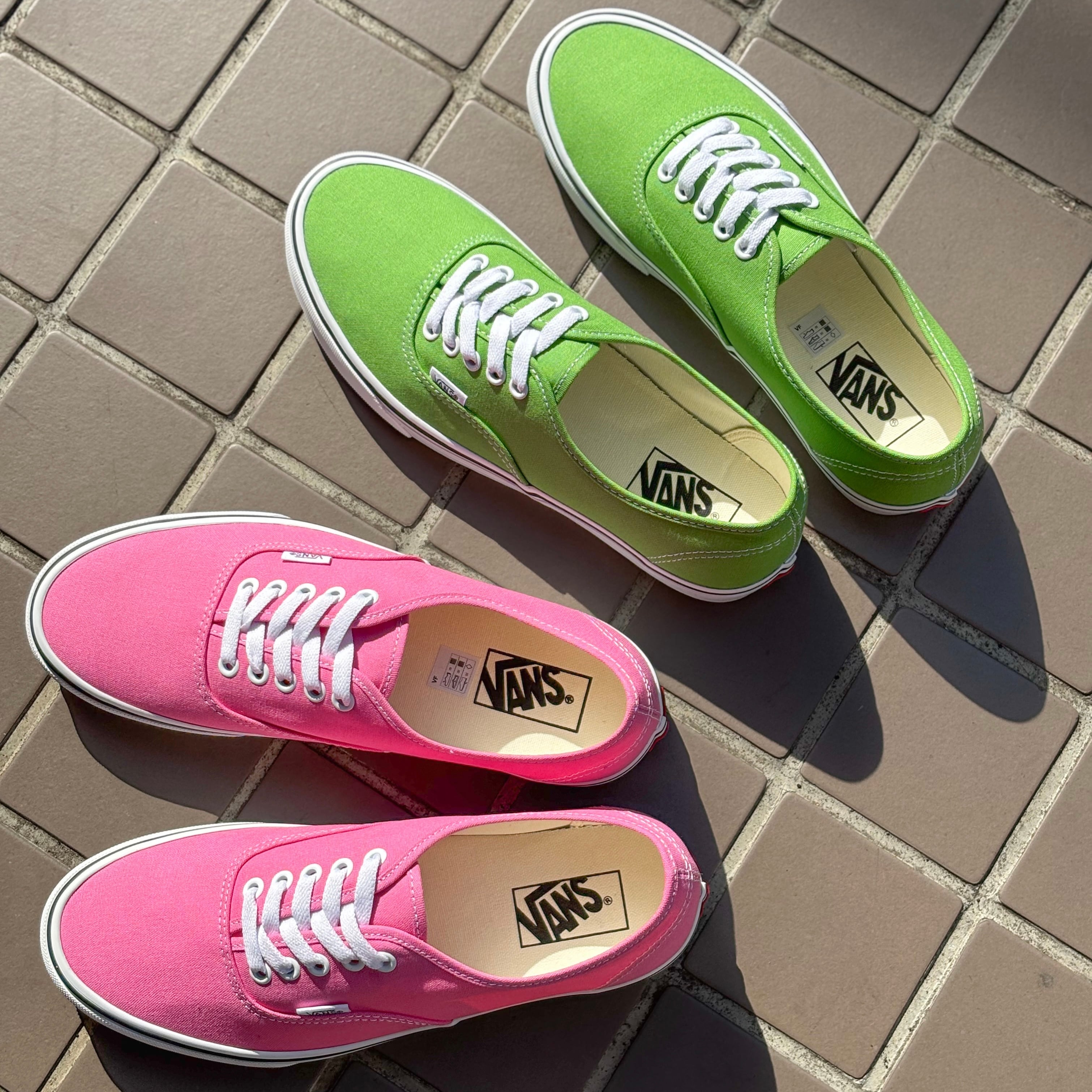 VANS Authentic Lime Pink / ヴァンズ オーセンティック ライム ピンク