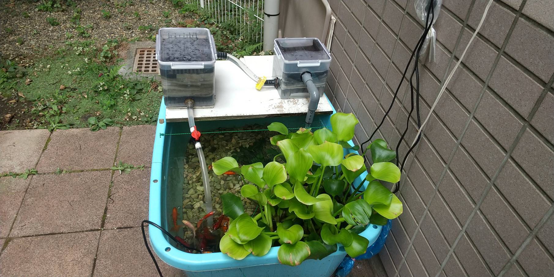 水槽濾過パワー モデル200（200L用）｜メダカ・金魚飼育に最適