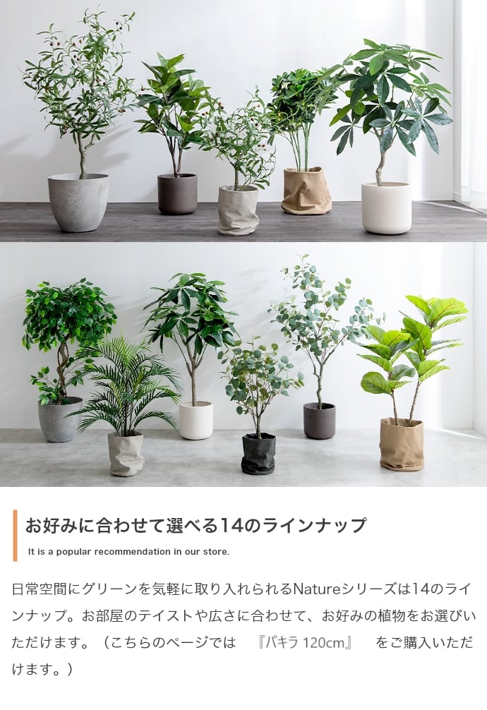 観葉植物 パキラ フェイクグリーン 光触媒人工観葉植物 高さ120cm | FIGARO