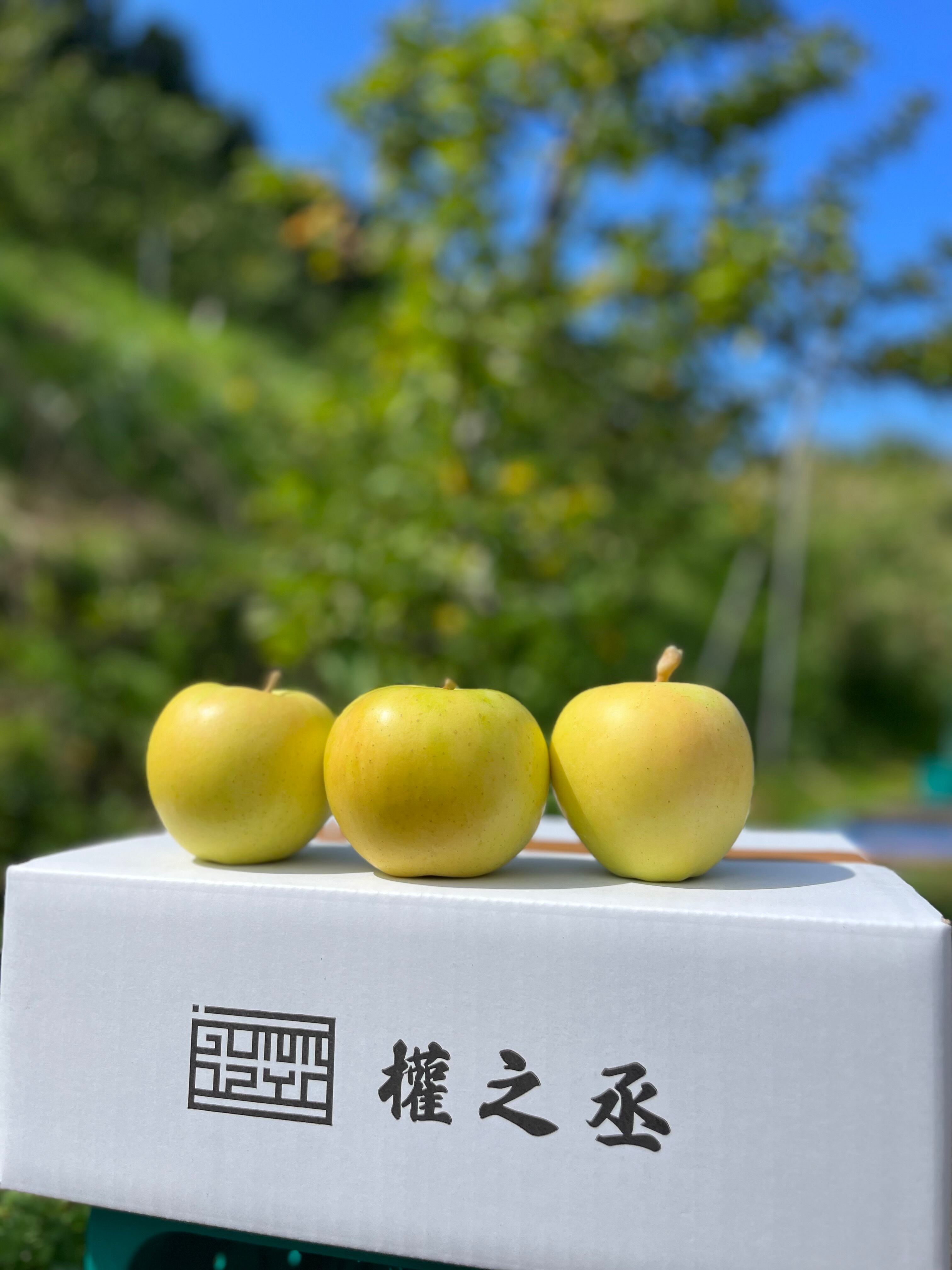トキ家庭用　3kg