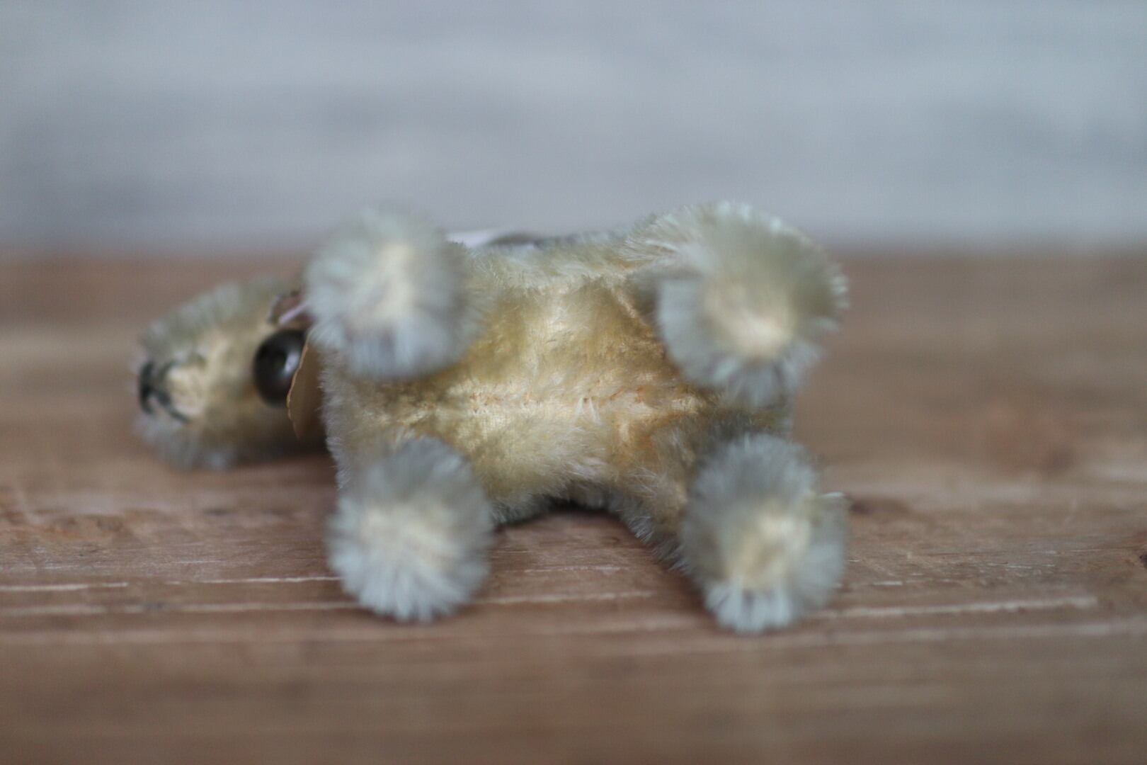 アンティーク シュタイフ 犬 エアデールテリア Terry