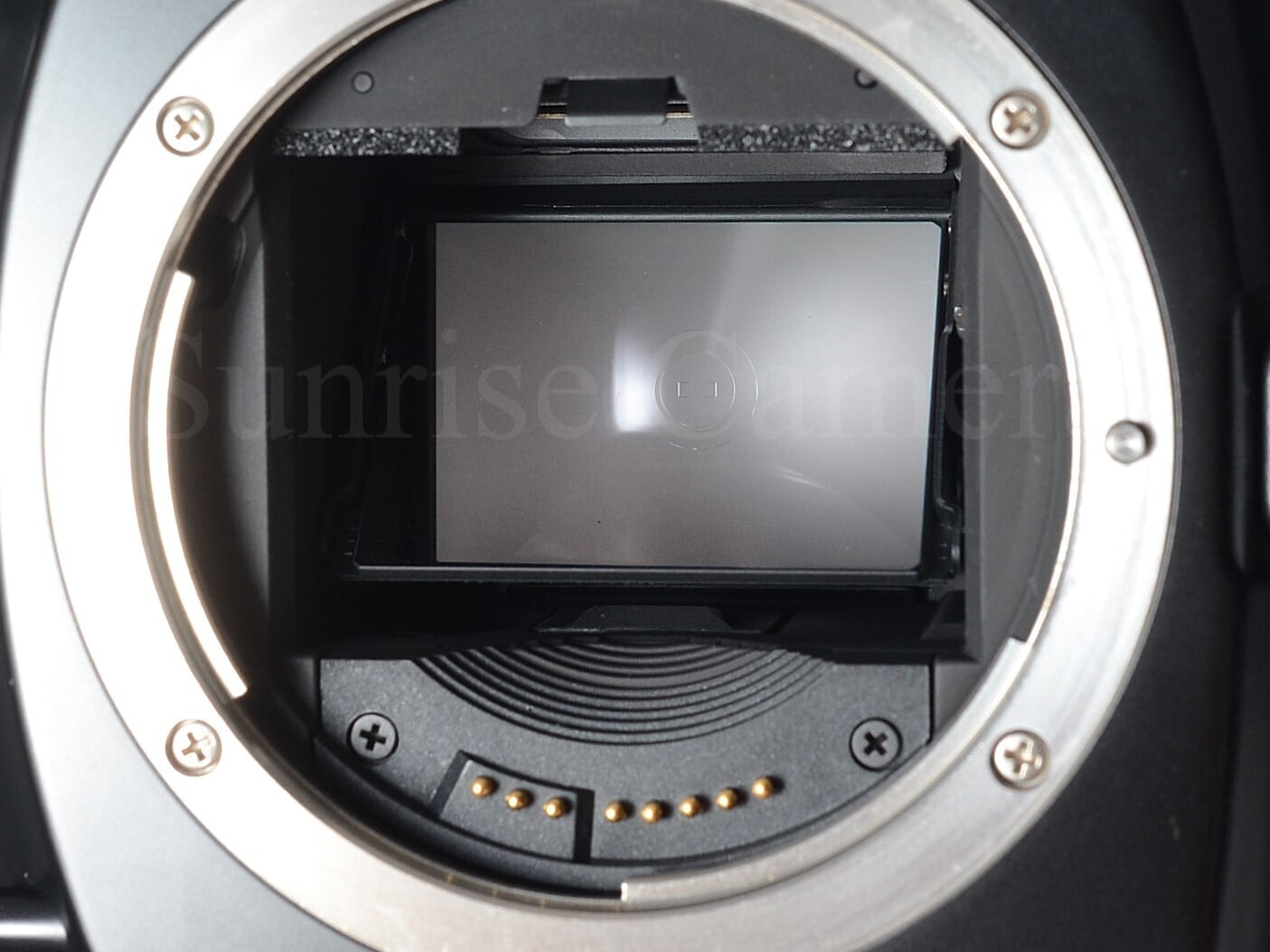 Canon EOS 1 / POWER DRIVE BOOSTER E1付 キヤノン (61324