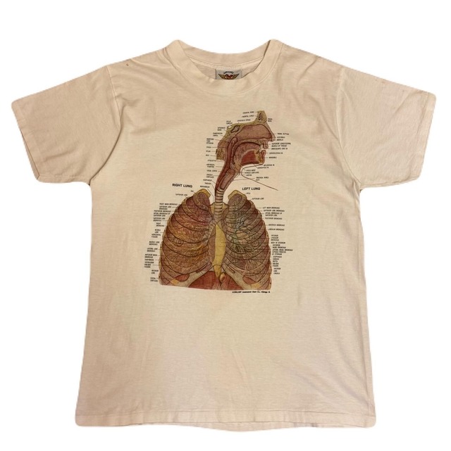 90年代 人体 アナトミカルチャート カートコバーン ヴィンテージ tシャツ