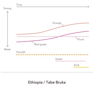 Ethiopia - Tabe Bruka Washed  / 200g