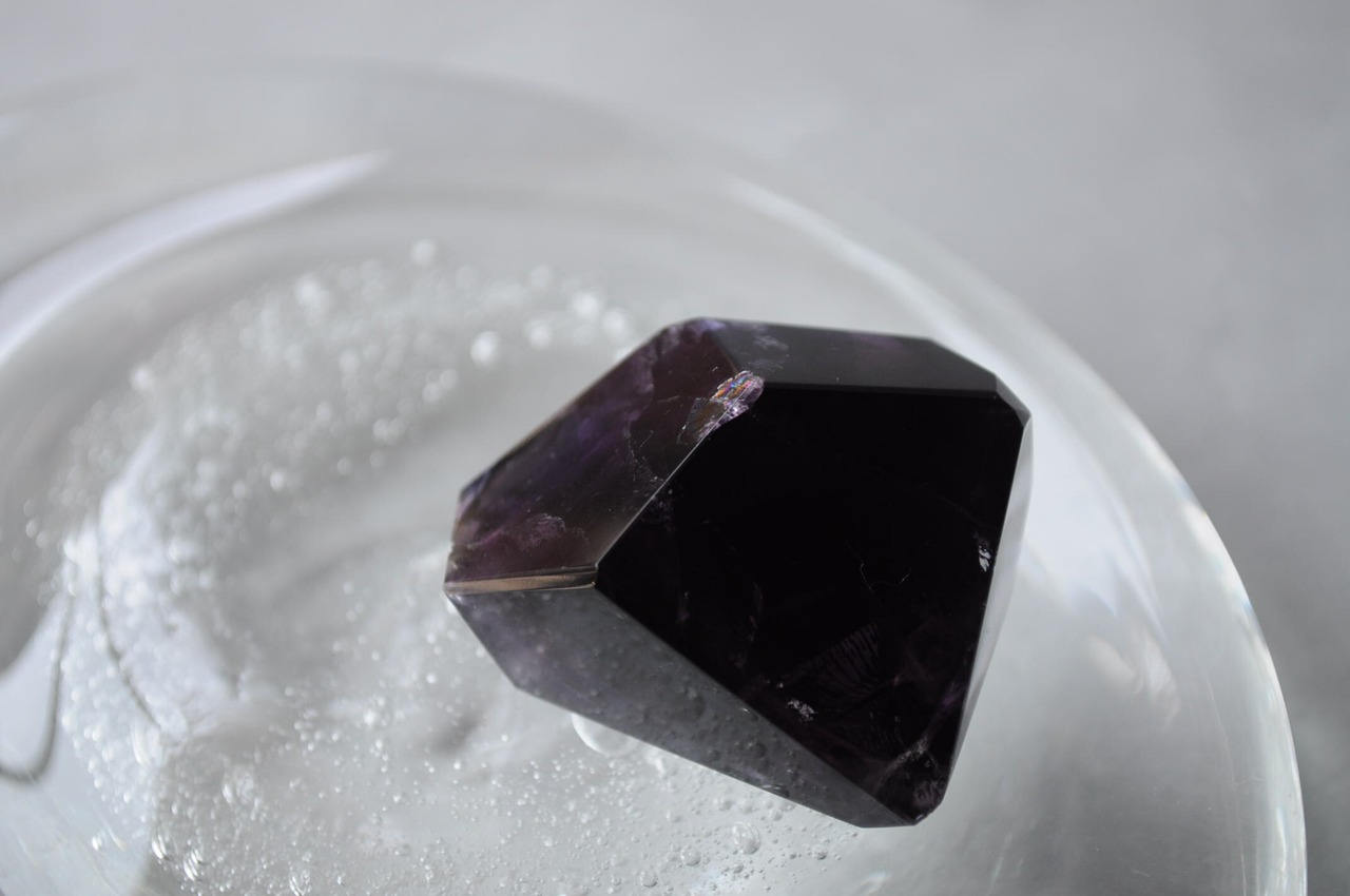 たくましくしなやかな心7