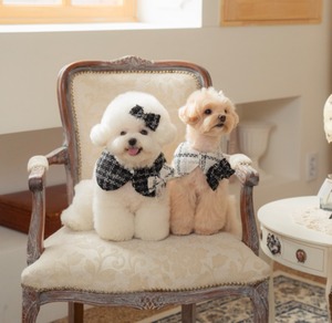 予約【pecoramou select】Tweed check cape（White）