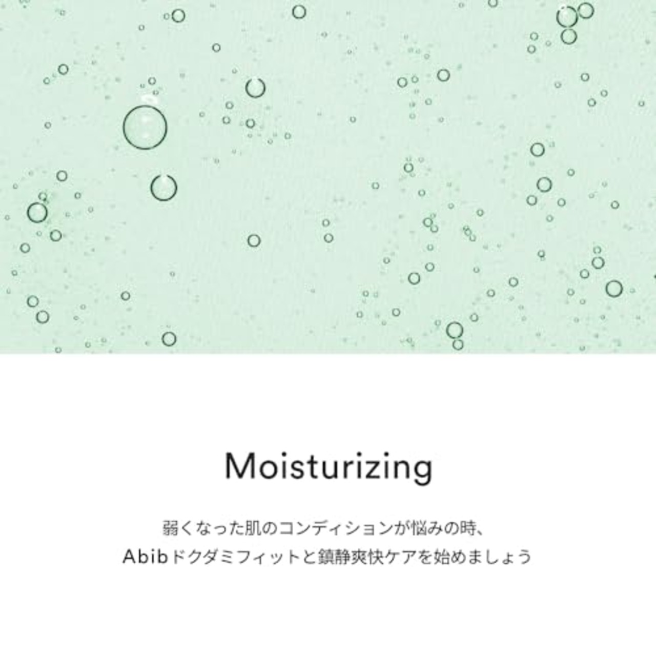 Abib 弱酸性シートマスクパック/ガムシートマスクパック全種類 (ドクダミフィット10枚)