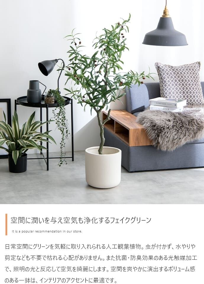 観葉植物 オリーブ フェイクグリーン 光触媒人工観葉植物 高さ125cm