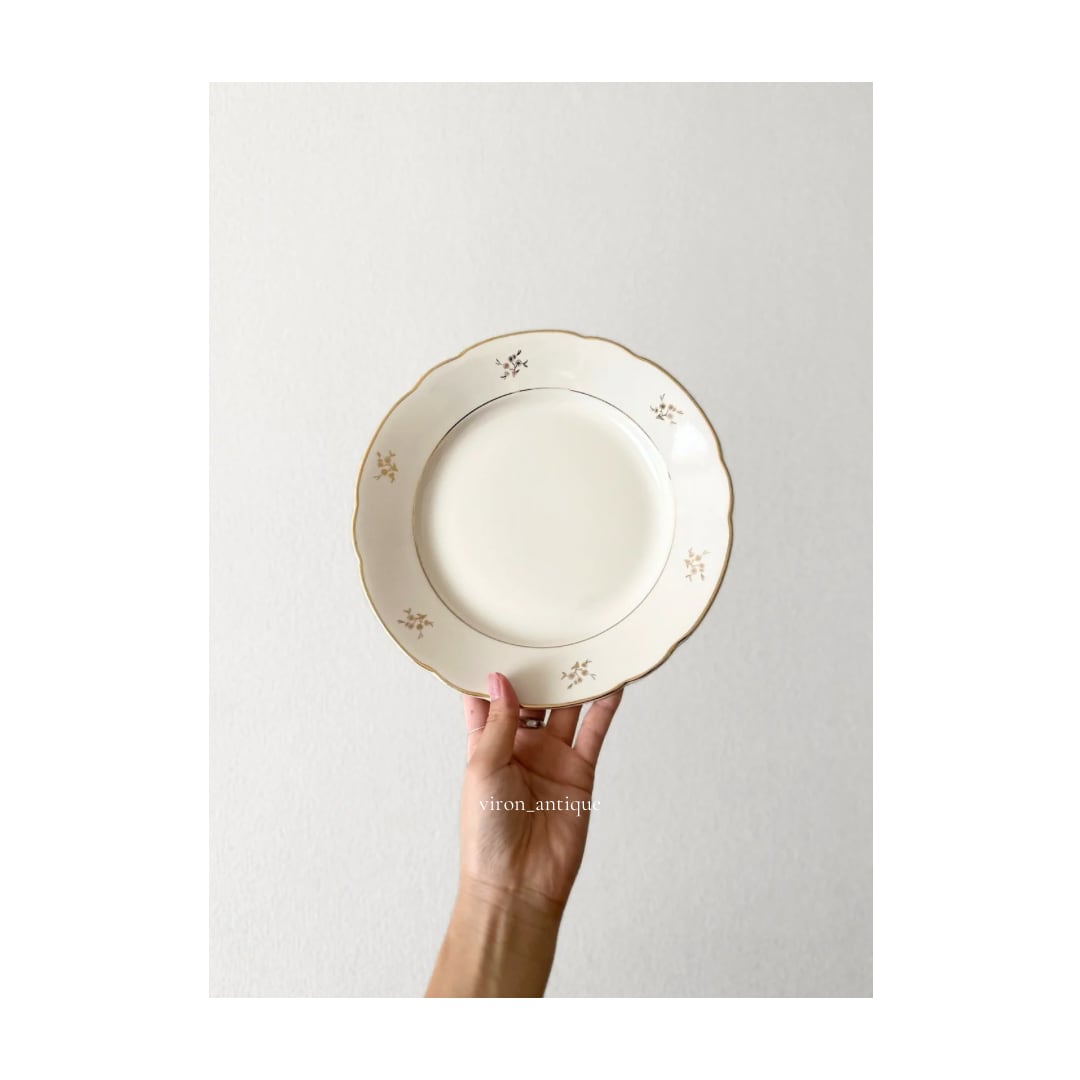 ベルギー製NIMY窯MOUZIN LECAT & CO. アンティークプレート ベルギー