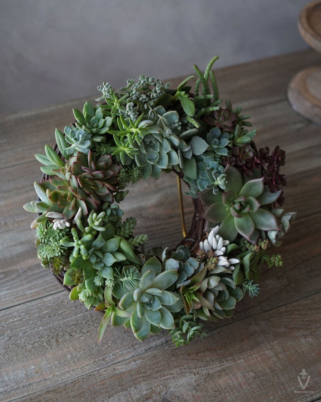 確認用　多肉リース 多肉植物 のリース Φ25cm 【寄せ植え】 | アトリエ ヴィネット（花苗 フラワー・ガーデニング