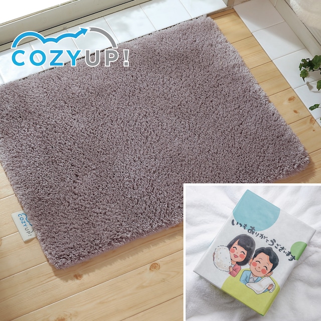 【ありがとうギフト】ヒンヤリ解消！COZY UP!バスマット　チョコレート 45cm×60cm