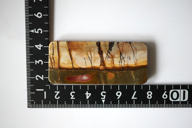 チェリークリーク・ジャスパー　Cherry Creek Jasper 934