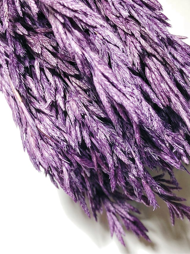 シェア花材☆タッセルリード グレープ