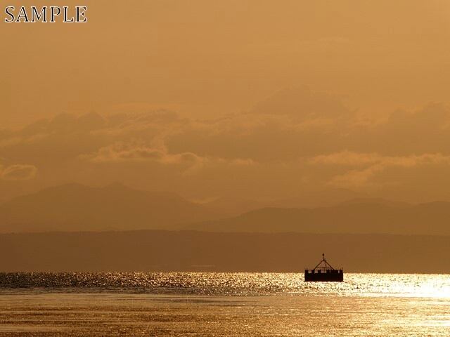 長浜  TIFF