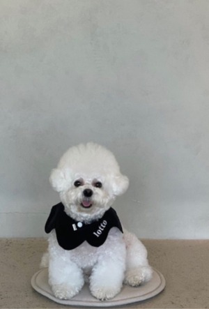 予約　【curum】Black Wave cape