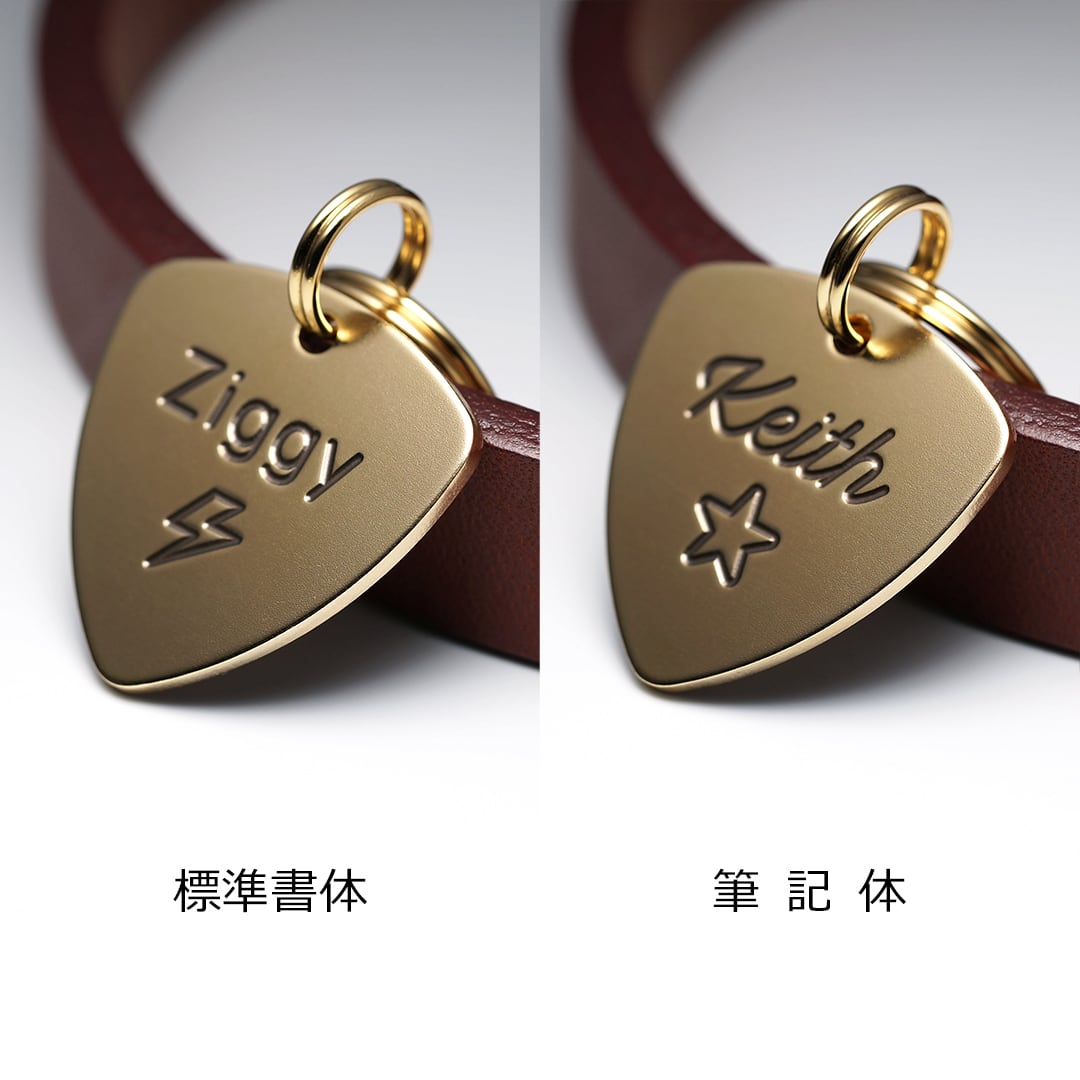 ギターピック形の迷子札 | WAGTAG