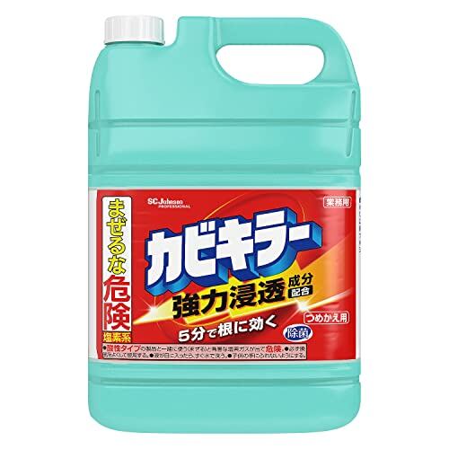 枯草菌のKINTARO(菌太郎) | PAY ID