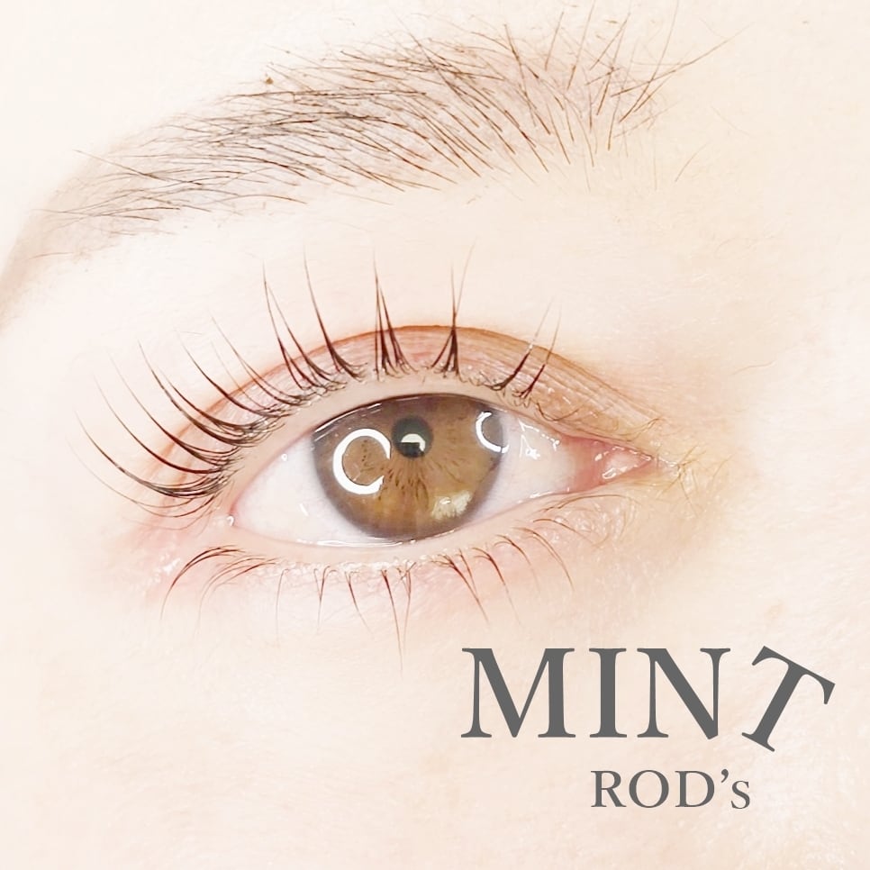 ミントロッド4サイズセット | まつげエクステ商材 FLAP EYELASHES
