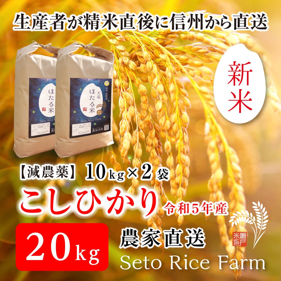 食品/飲料/酒信州安曇野コシヒカリ20kg - 米/穀物