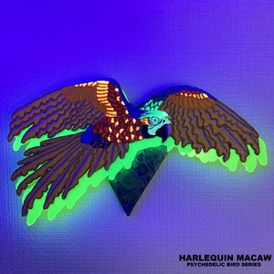 HARLEQUIN MACAW