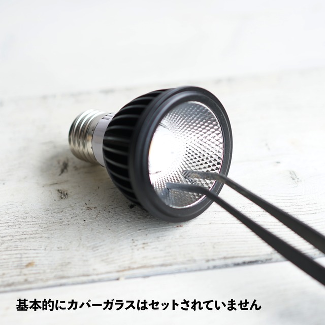 LEDライト 小型AS型 10W 昼白色 ホワイト